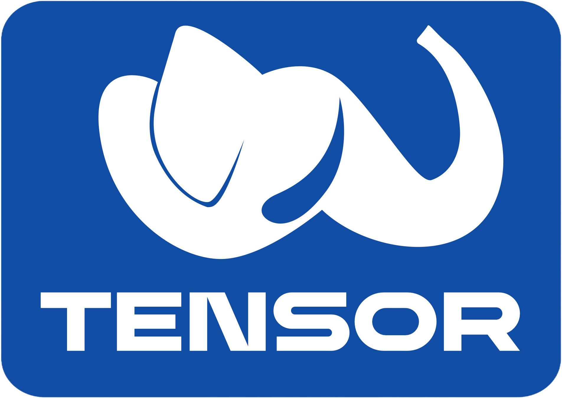 Tensor Engineering Services LLC